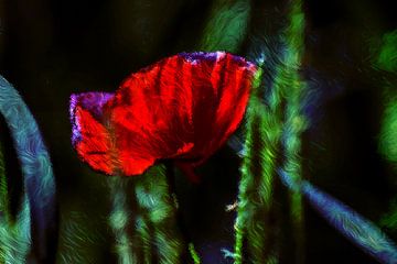 ABSTRACT : FLORA - COQUELICOT SOUS VERRE sur Michael Nägele