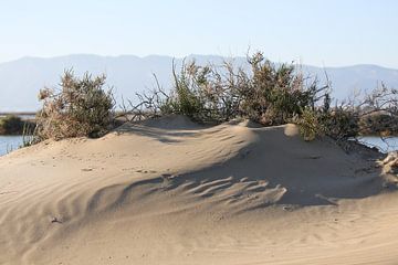 duinen van marijke servaes