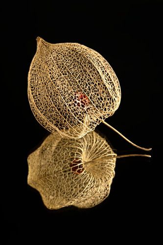 De structuren van vergankelijkheid