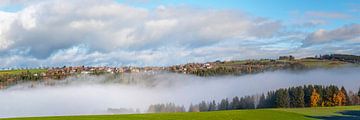 Panorama de la Forêt-Noire sur Hanneke Luit