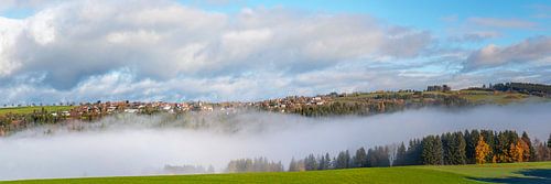 Panorama de la Forêt-Noire