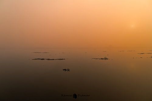 Warme zonsopkomst bij Engbertsdijksvenen