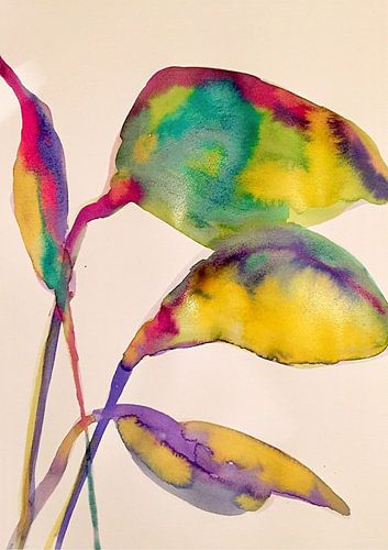 Feuilles multicolores