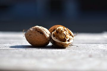 walnuts by Janny Schilderink......Atelier "de Tuute "