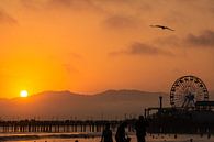 Zonsondergang in Californië van Nynke Nicolai thumbnail