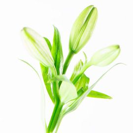 Zomerboeket von Chantal Evers