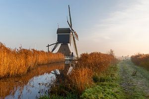 Windmolen in de Alblasserwaard van Cor de Bruijn