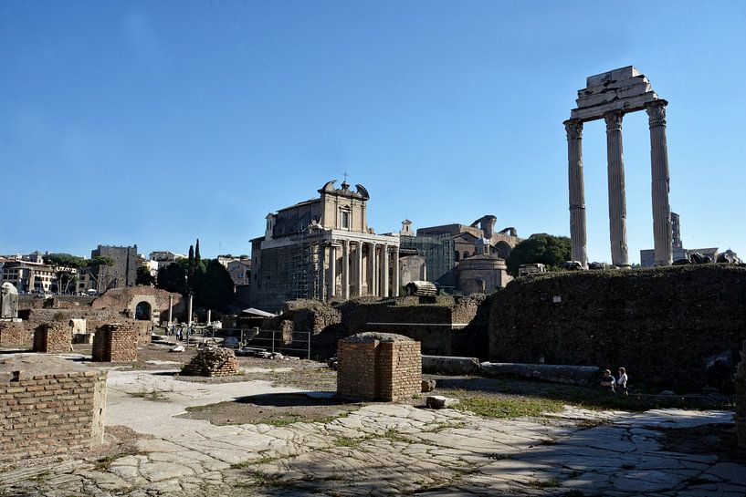 Ancient splendour of the Roman Forum by Frank Photos