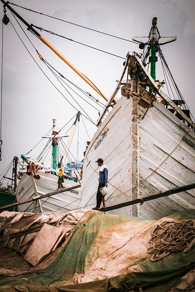 Hands That Carry the Harbor by Kim Stijger