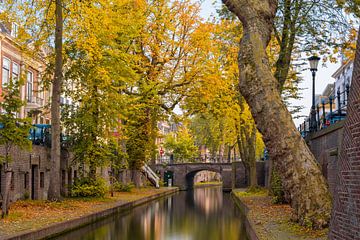 Autumnal Lange Nieuwe gracht by Thomas van Galen