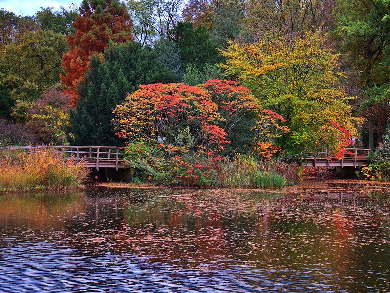 La mare aux canards par Edgar Schermaul