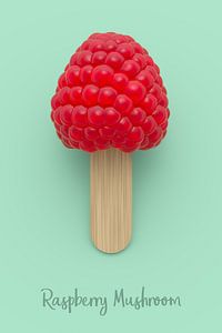 Raspberry Mushroom