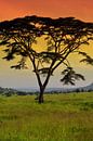 Zonsondergang Serengeti van Jorien Melsen Loos thumbnail