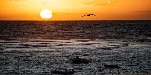 Zonsondergang op Fuerteventura