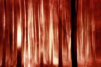 Herfstverlichting