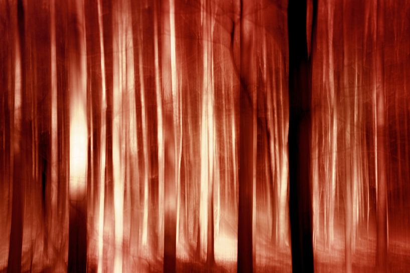 Lumières d'automne par Dorit Fuhg