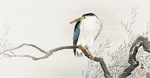 Kwakzalver op grillige tak, Ohara Koson