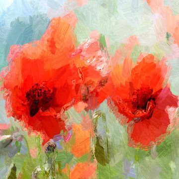 Poppies by Kay Weber