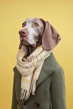 Bracco Italiano by Poster Art Shop