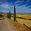 Cipressen in Toscane van Gerard Oonk thumbnail