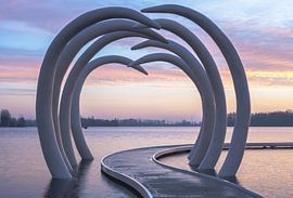 Slijk-Ewijker Seen Teil 4 von Tania Perneel