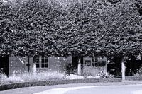 Bomen