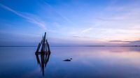 Early Morning