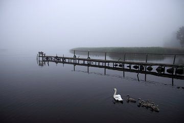 Familie Swan van Galerie Usedomfotos