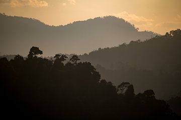 Goldenes Morgenlicht über nebligen Bergen in Vietnam von Michiel Ton