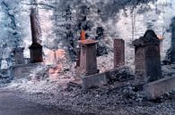 Ätherischer Spaziergang auf dem Abney Park Friedhof, London von Helga Novelli Miniaturansicht