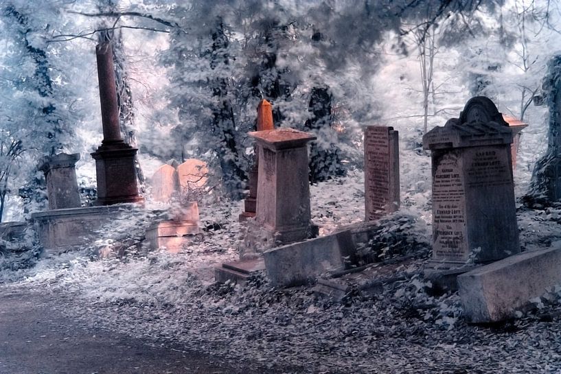Ätherischer Spaziergang auf dem Abney Park Friedhof, London von Helga Novelli