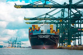 Container Freighter Ship 