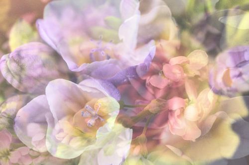 Abstracte fotografie | Abstract expressionisme | Modern abstract | Een bos van pastel kleurige bloemen