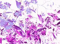 Couleurs du printemps