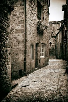 Street in Sarlat-la-Canéda by Jan van der Knaap