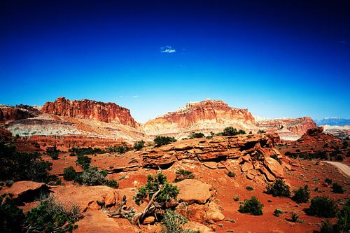 Capitol Reef