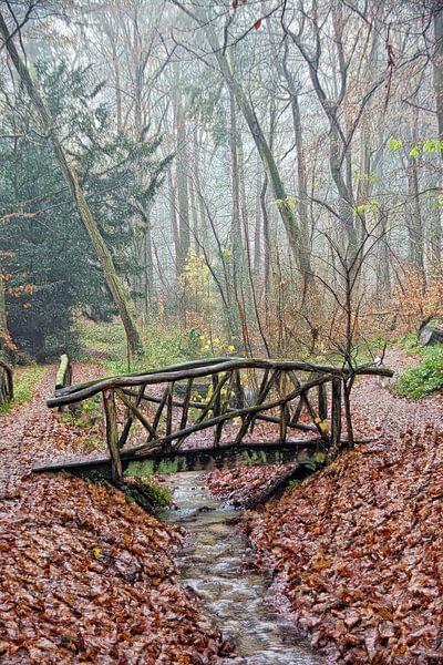 Pont dans les bois par Jurjen Jan Snikkenburg
