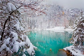 Blausee in de winter, Berner Oberland, Zwitserland van Sabine Klein