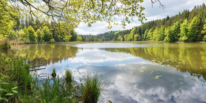 Spring landscape Thanninger Weiher by SusaZoom