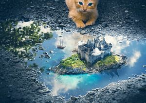 Der Kater und die Insel