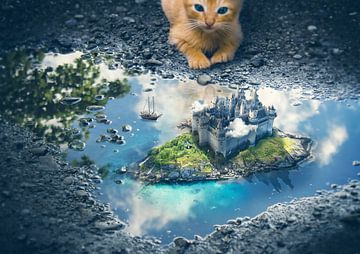 Der Kater und die Insel