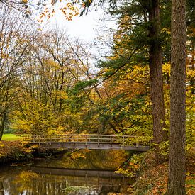 Alte Holzbrücke im holländischen Naturschutzgebiet Singraven in der Nähe von Schloss Singraven in Di von ChrisWillemsen