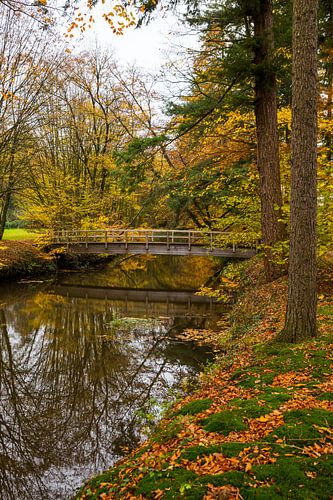 wooden old bridge in the nature area of singraven in holland