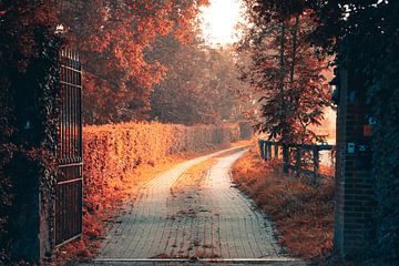 Mooi pad door een hek tijdens de herfst van Marjolein Schattevoet