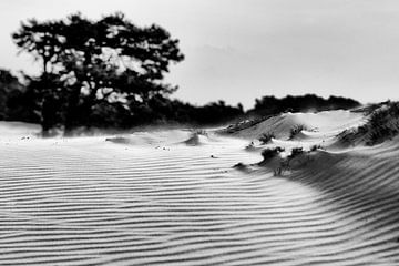 Zandverstuiving in Zwart-wit von Jos Reimering