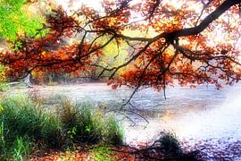 Enchanted Forest Lake ART 2.0 Soft by Ingo Laue