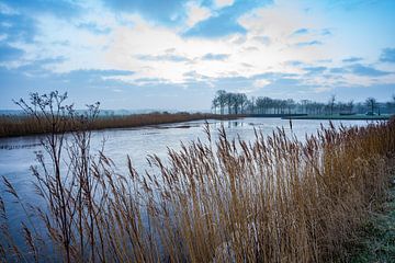 Een koude zaterdagochtend in Heerenveen van lars Bosch