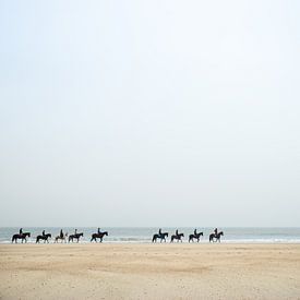 Paarden aan de kust von Paula Anglès
