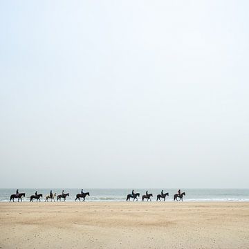 Paarden aan de kust van Paula Anglès