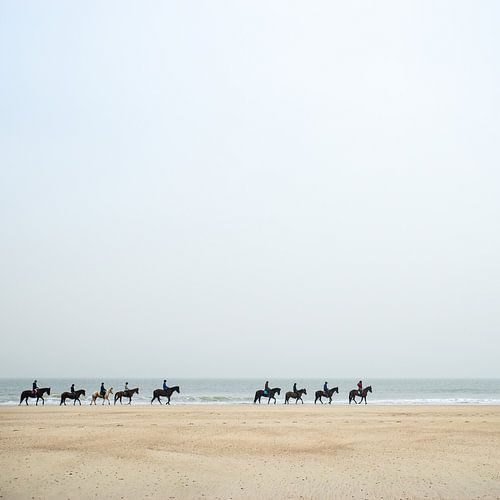 Paarden aan de kust